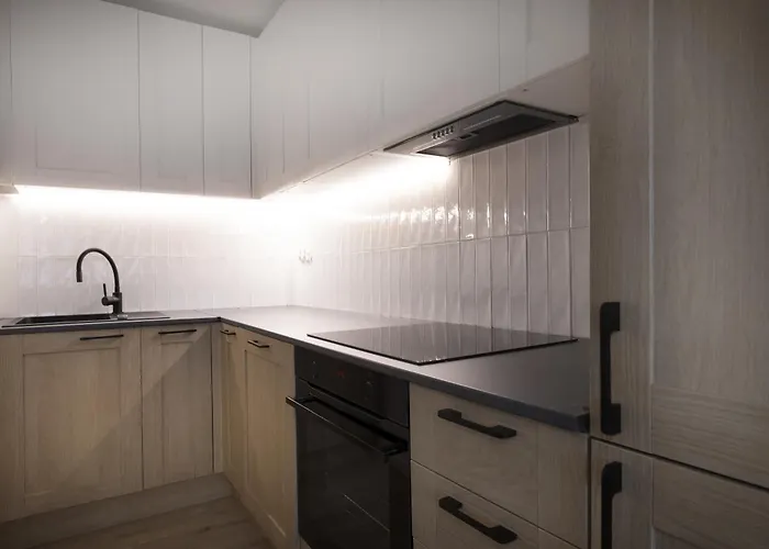 Modern Flat After Complete Renovation In The Old Town! 公寓 格但斯克